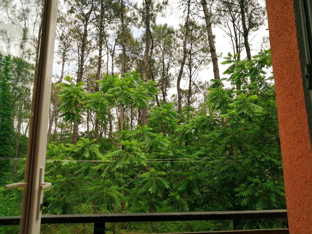 Villa Vachnadze room 5